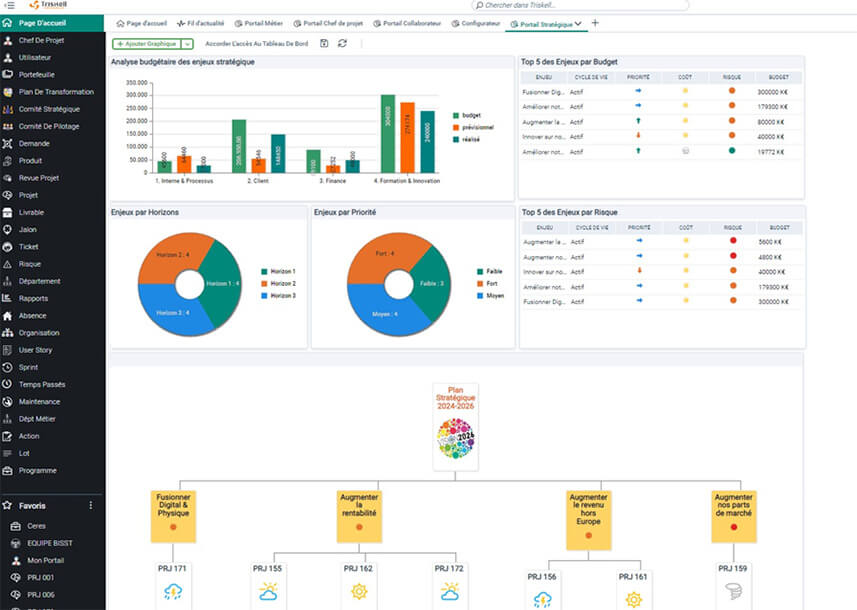 Triskell Software