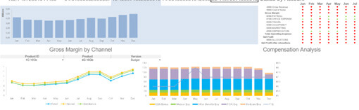 IBM Cognos TM1