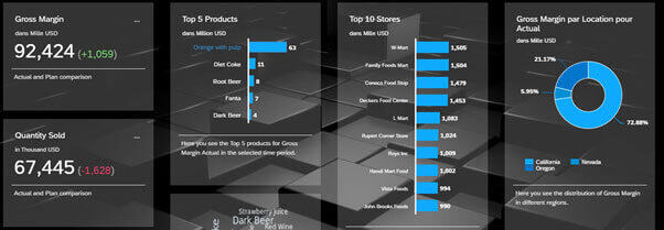 SAP Analytics Cloud (SAC)