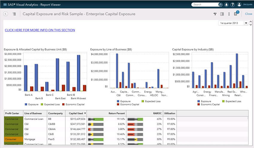 SAS Visual Analytics