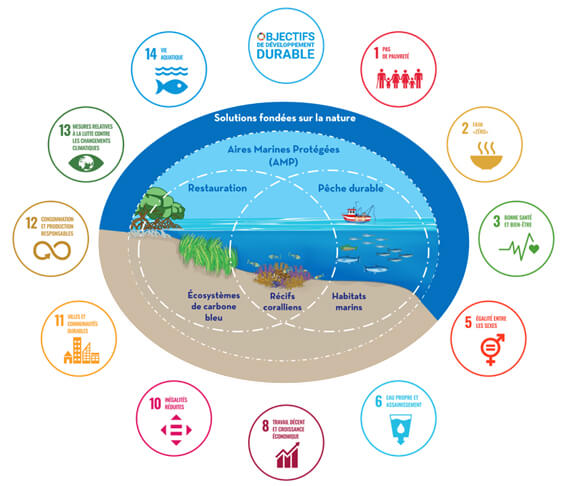Conférence des Nations Unies sur l'océan | Pourquoi les océans doivent intéresser toutes les entreprises 