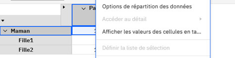 Planning Analytics – Saisie aux niveaux consolidés