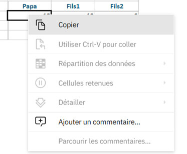 Planning Analytics – Saisie aux niveaux consolidés