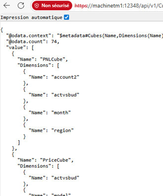 Utilisation des APIs dans Planning Analytics