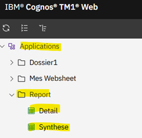 Planning Analytics - Les API URL de Tm1Web