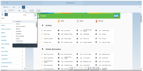 Business Objects BI 4.2 SP4