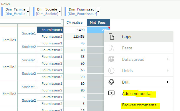 Planning Analytics - Gestion des annotations et commentaires des cellules de cube