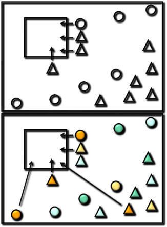 Mise en œuvre d’une segmentation client